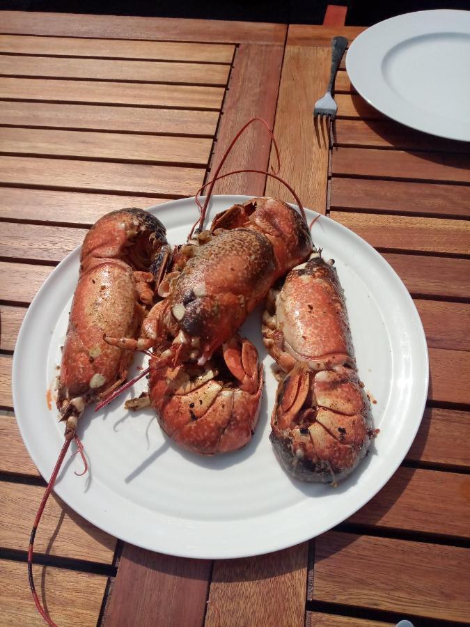 Le Gite De La Salicorne Marck 外观 照片